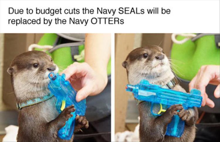 navy seals replaced