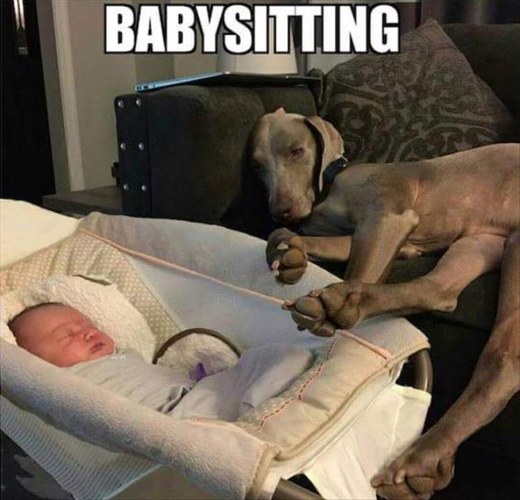 new baby sitter