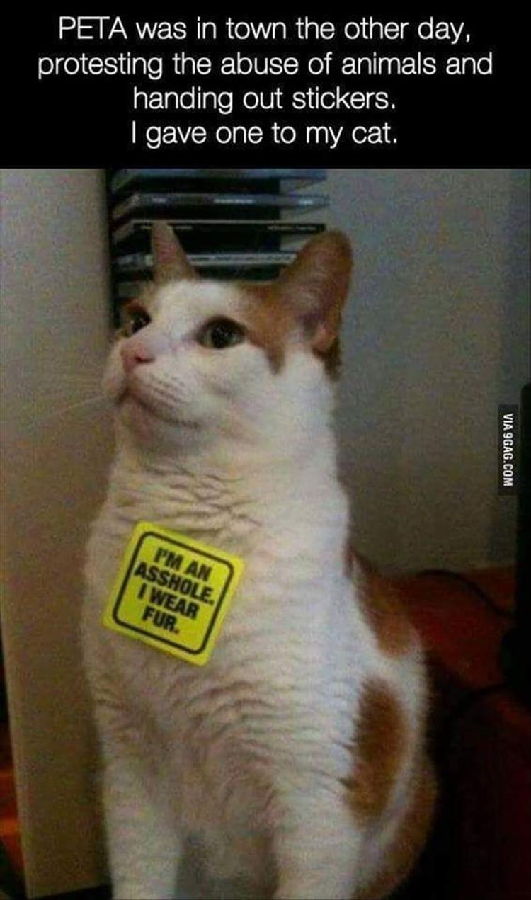 peta stickers