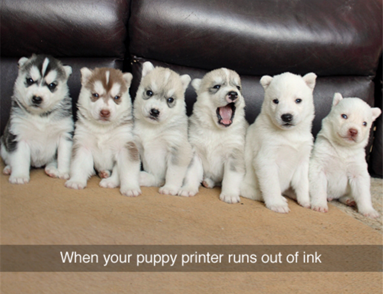 puppy printer