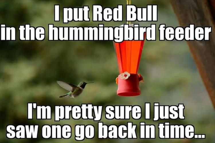 redbull