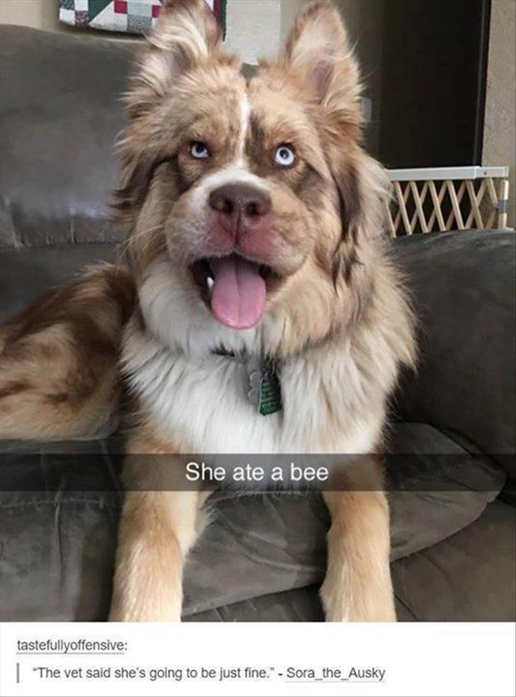 she ate a bee