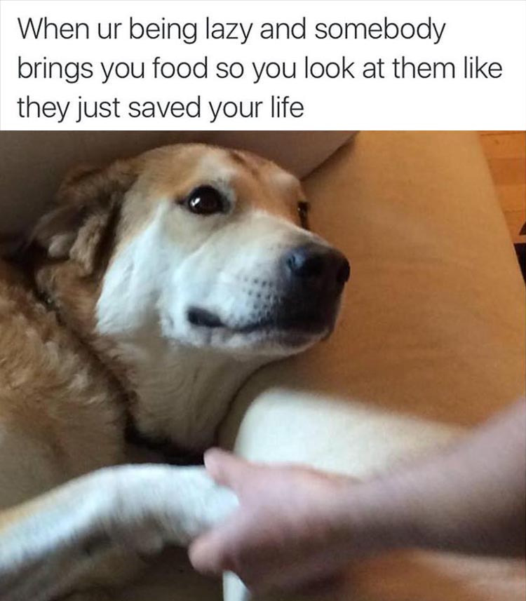 someone brings you food