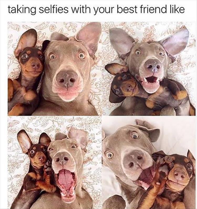 taking selfies