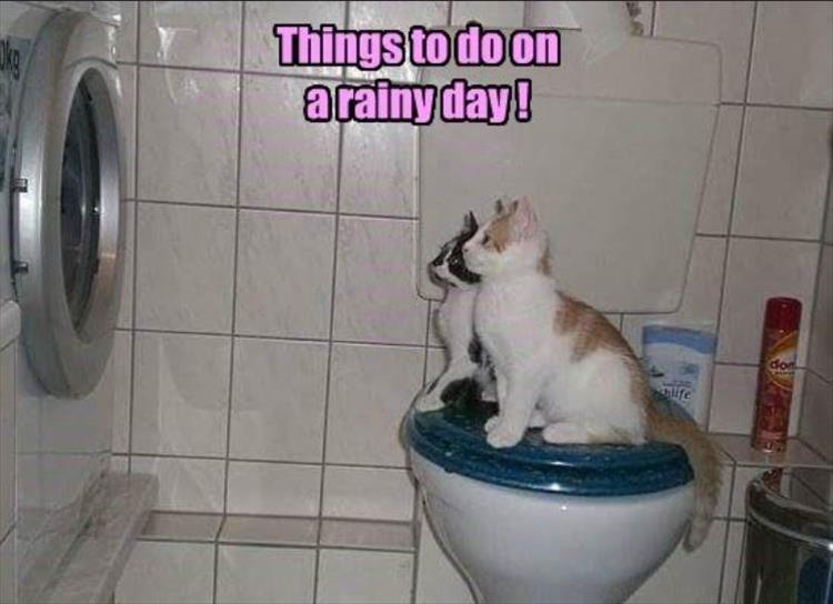things to do on a rainy day