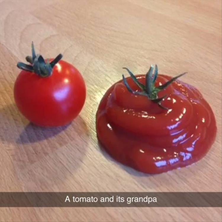 tomato and it's grandpa