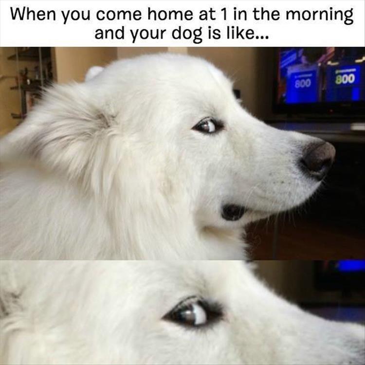 when you come home late
