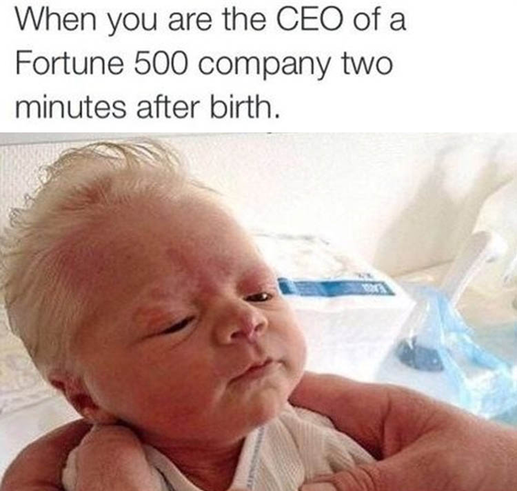 when you're the ceo