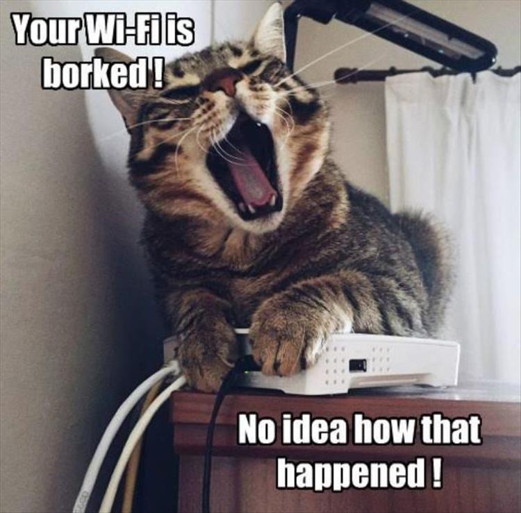 your wifi is broke