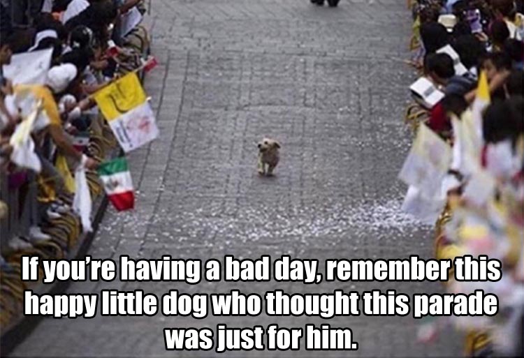 you're having a bad day