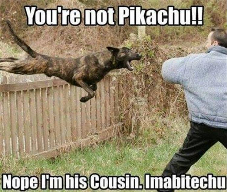 you're not pikachu