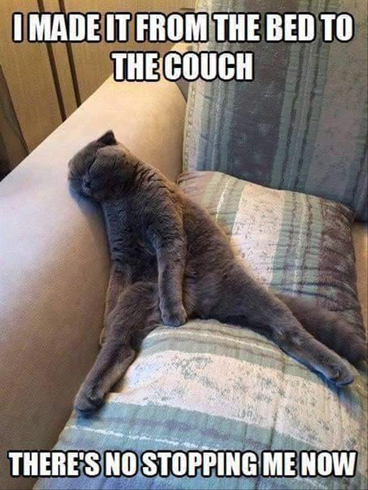 I made it from the bed to the couch