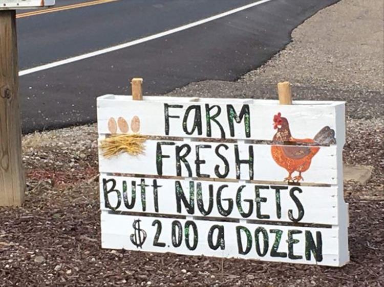 farm-fresh-eggs