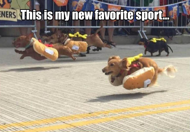 favorite-sport