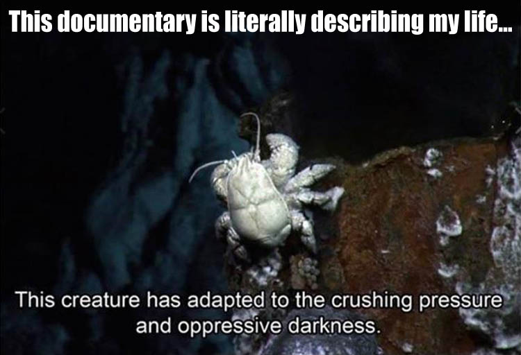 funny-crab