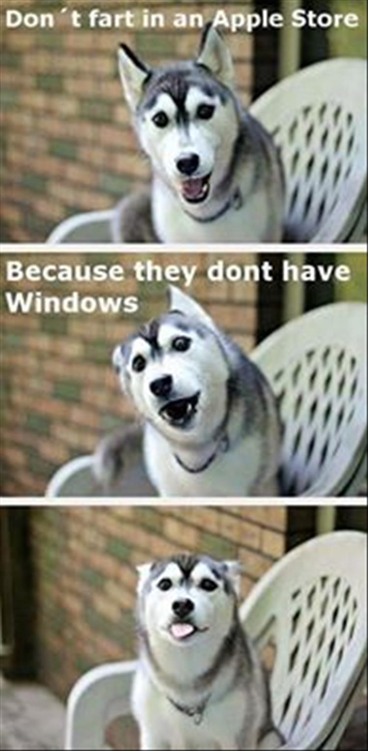 funny dog joke