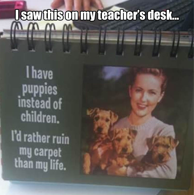 funny-teacher-pictures