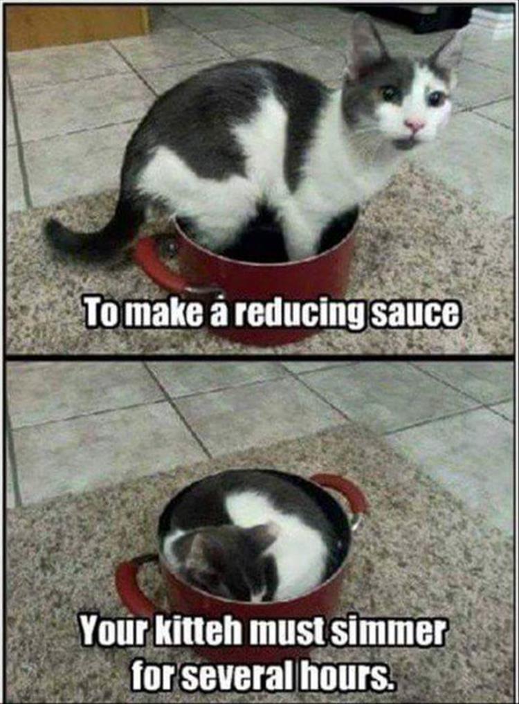 how-to-make-sauce