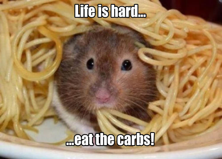 life-is-hard-eat-the-carbs