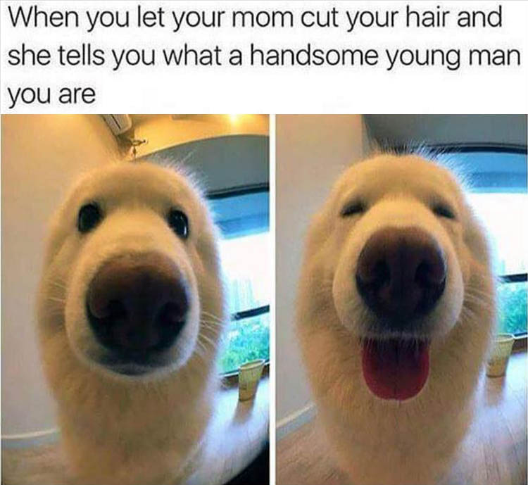 mom cuts your hair