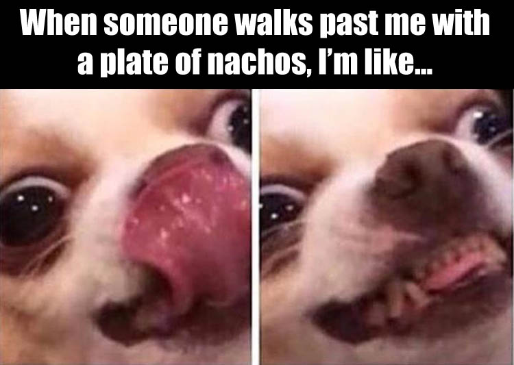 my-husband-when-i-walk-past-him-with-nachos