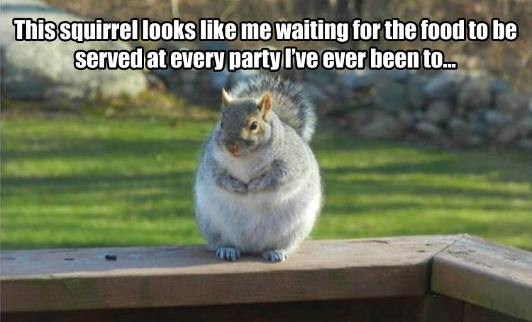 party-food-funny-pictures