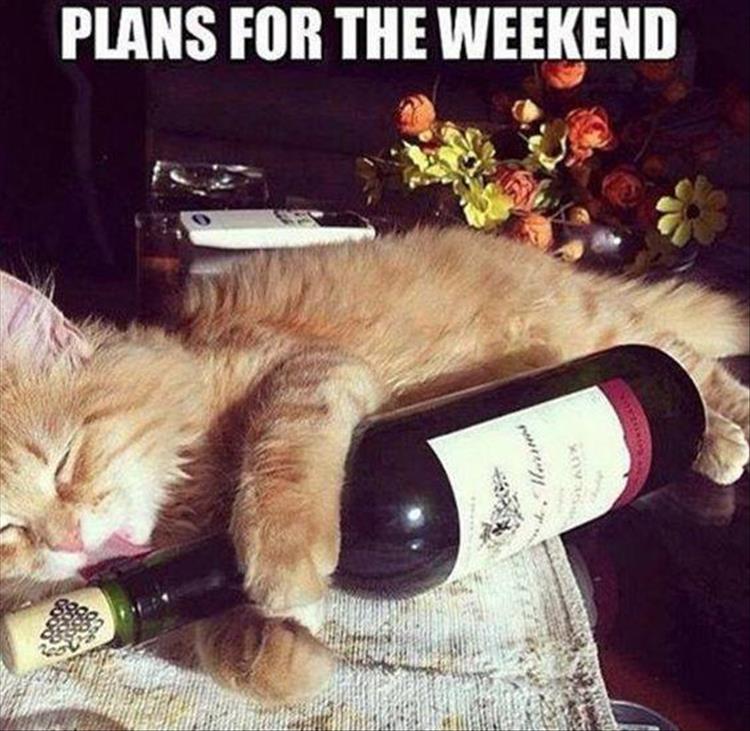 plans-for-the-weekend