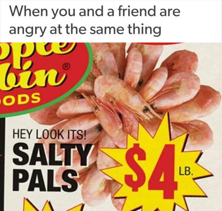 salty-pals