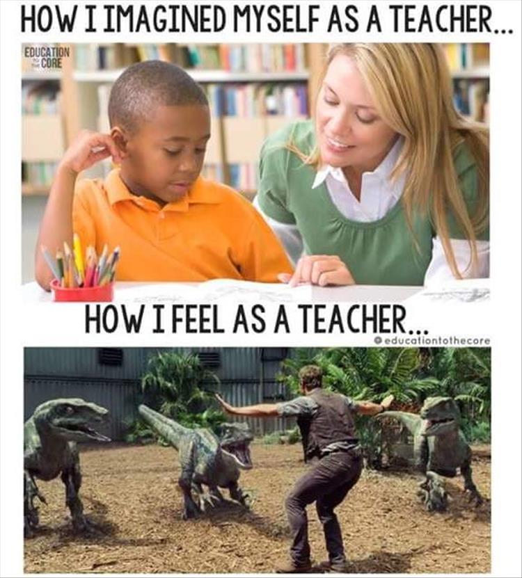 teachers