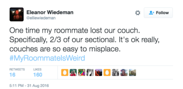 weird-roommates-9