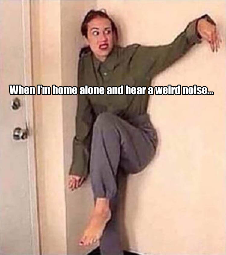 when-im-home-alone-and-hear-a-noise