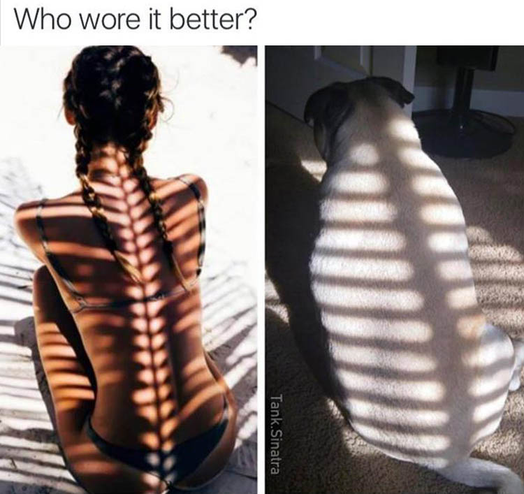 who-wore-it-better