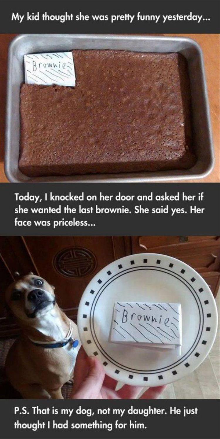z-brownie-funny