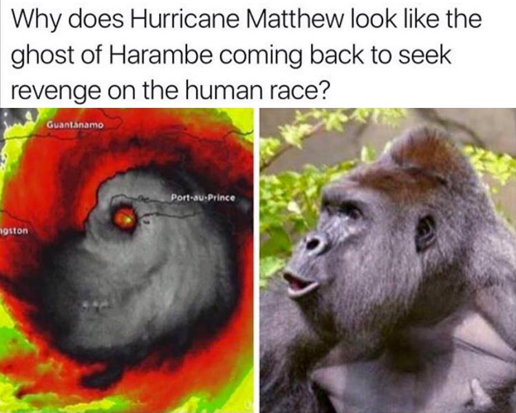 hurricane-matthew