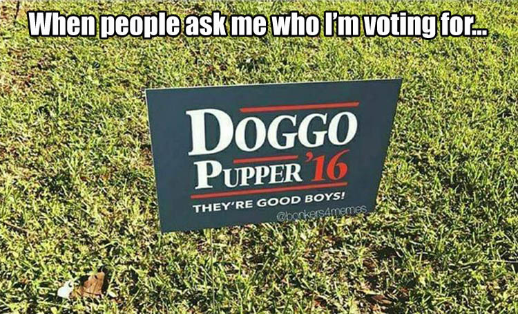 im-voting-for-the-dog