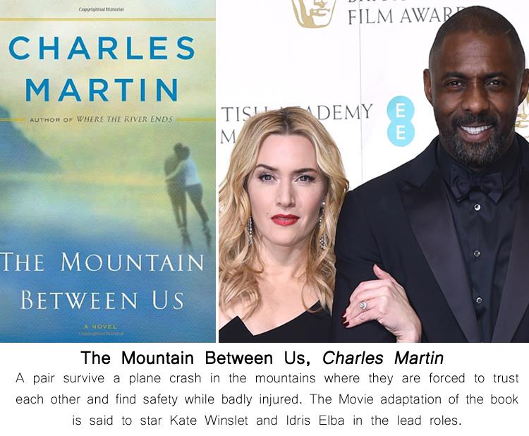the-mountain-between-us