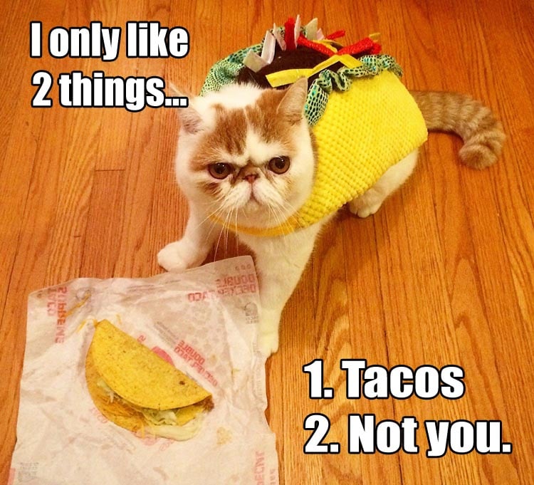 a-funny-taco