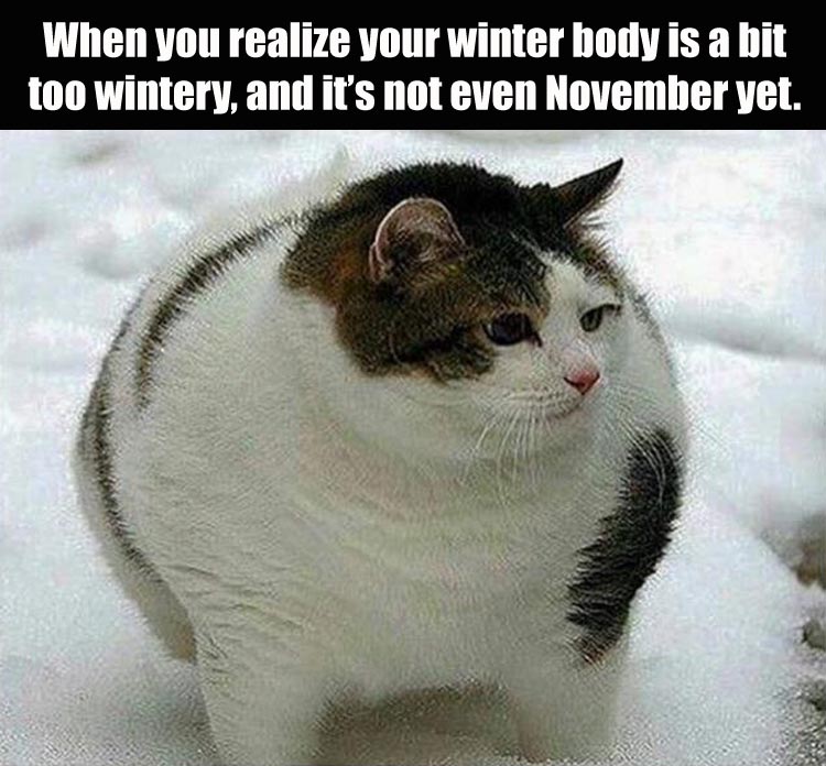 a-winter-body