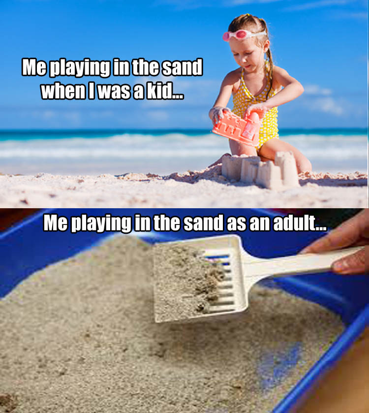 b-playin-in-the-sand
