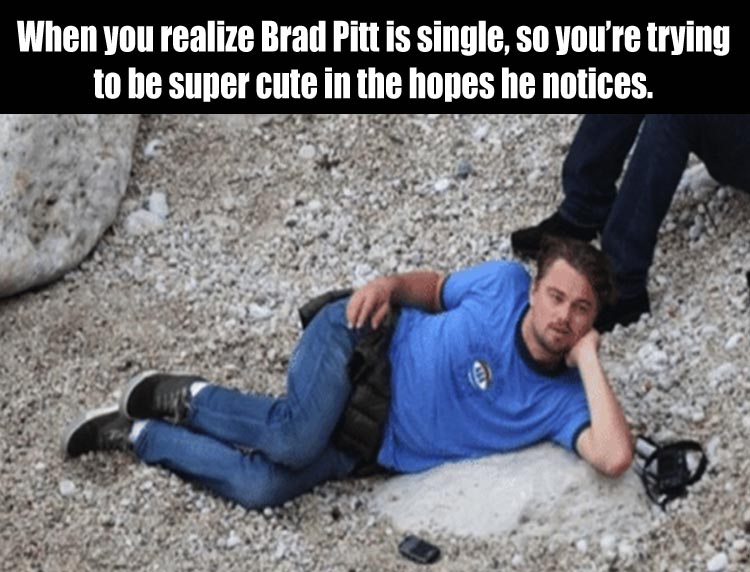brad-pitt-is-single-now