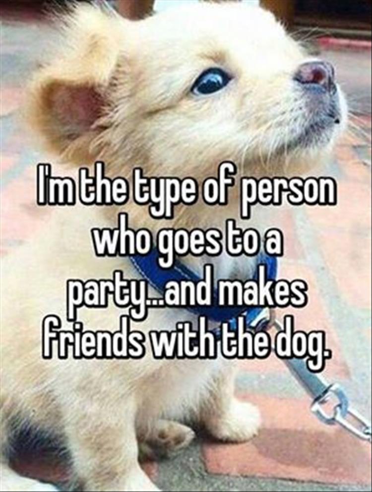 friends-with-the-dog
