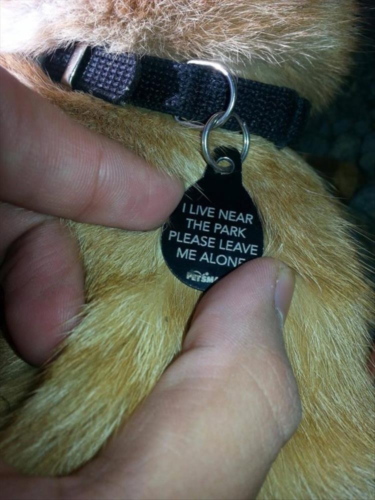 funny-animal-tags-4