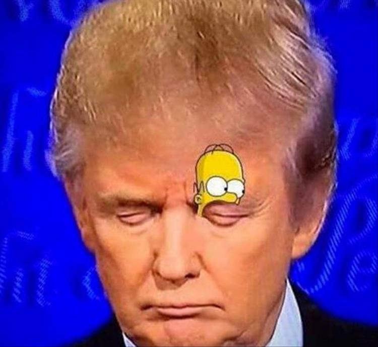 funny-donald-trump-pictures