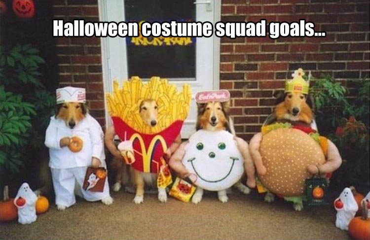 halloween-funny-pictures