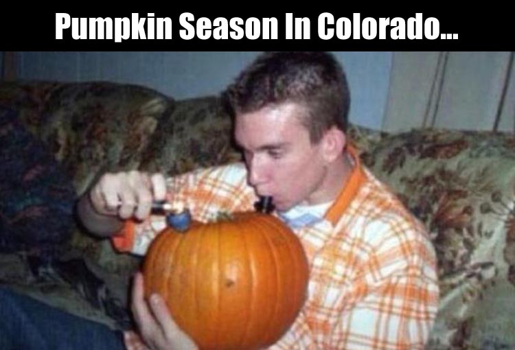 its-pumpkin-season