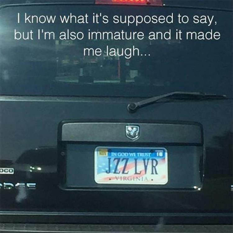 license-plates-funny