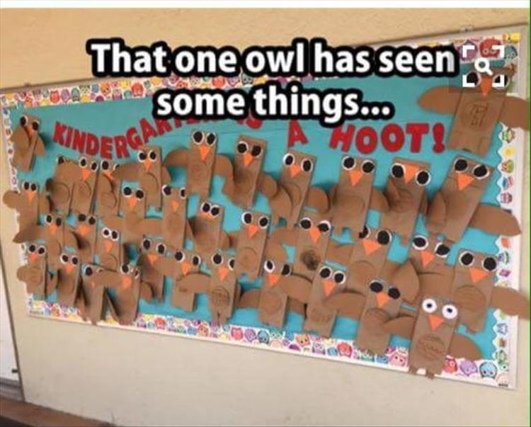 the-owl-has-seen-things