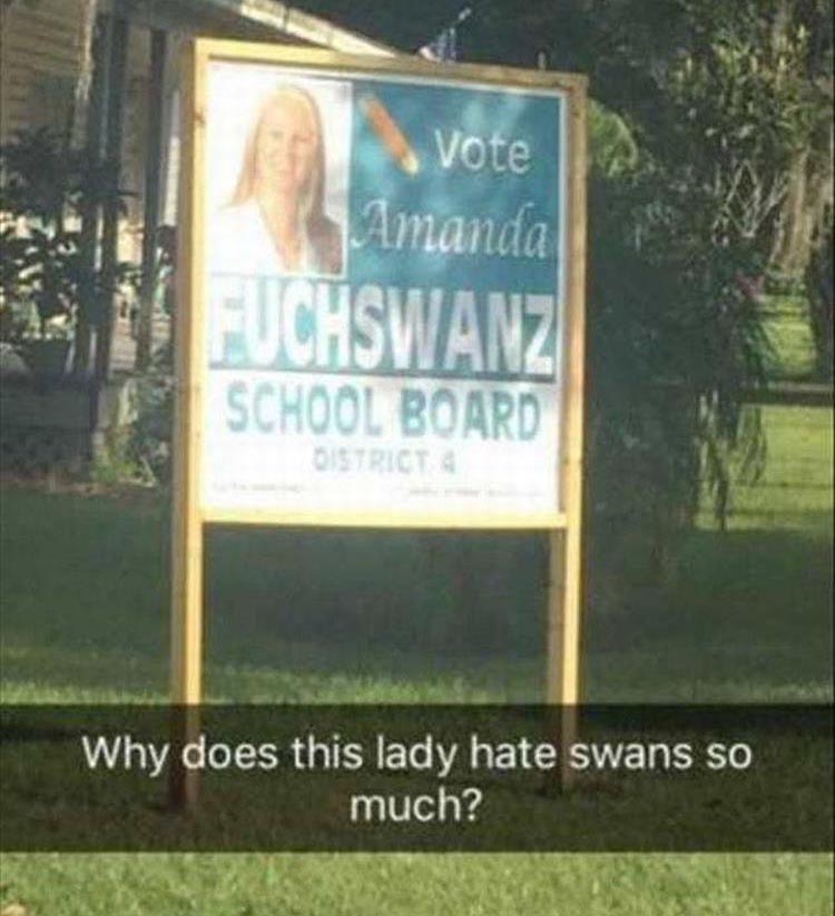 why-does-this-lady-hate-swans