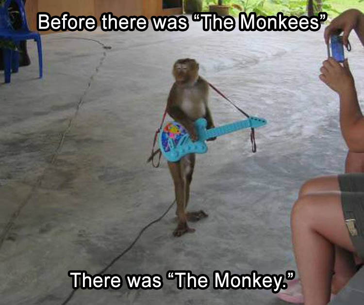 before-the-monkees-there-was-the-monkey