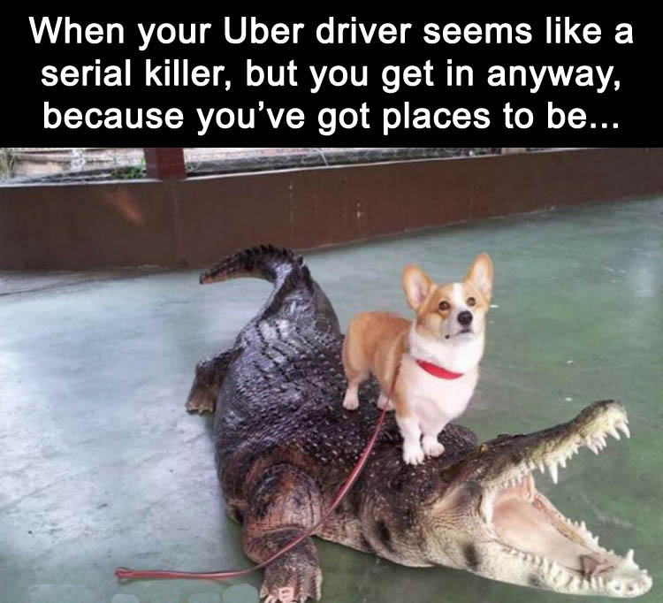 a-funny-uber-driver